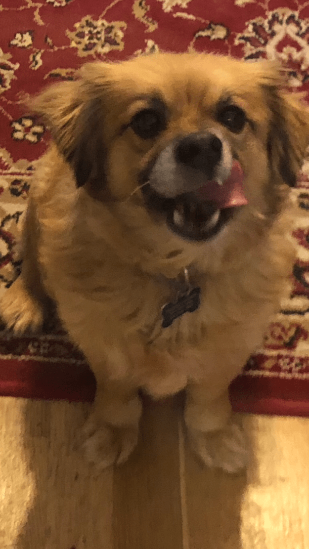 F0ECF848-3E0D-4A06-B6F9-5A916B38ABCC